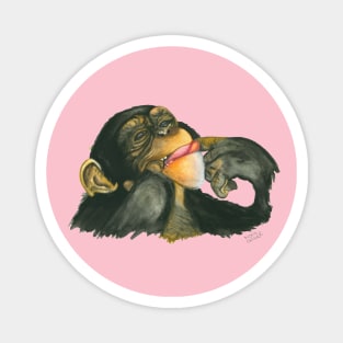 Trend Monkey Design Magnet